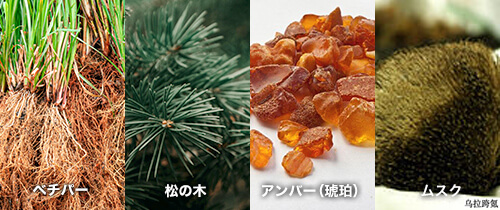 煉獄杏寿郎 フレグランス プリマニアックス ラストノート ベチパー、松の木、琥珀、ムスク